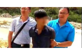 集安企业清欠服务